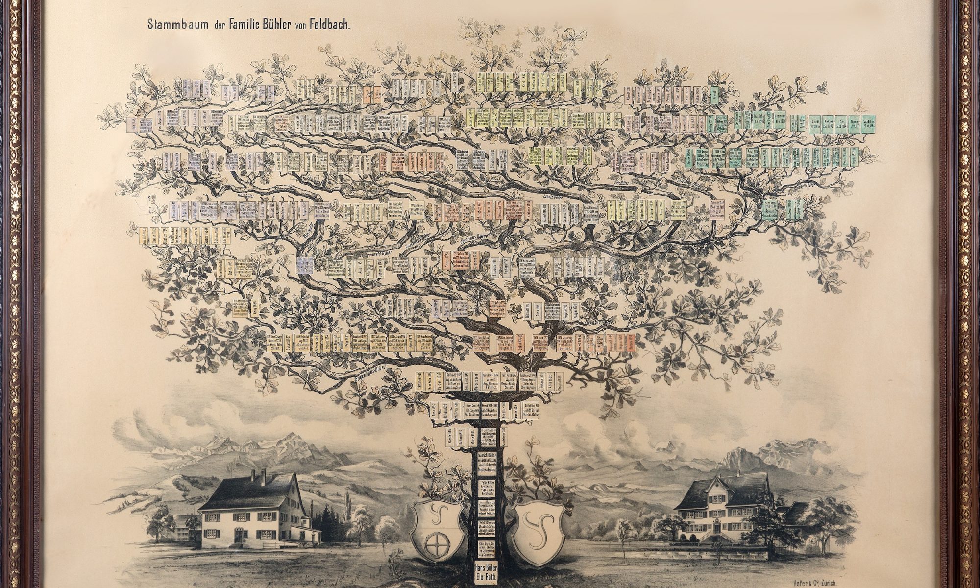 Stammbaum der Familie Bühler, als Baum gezeichnet, mit Namenstäfelchen zu den einzelnen Personen