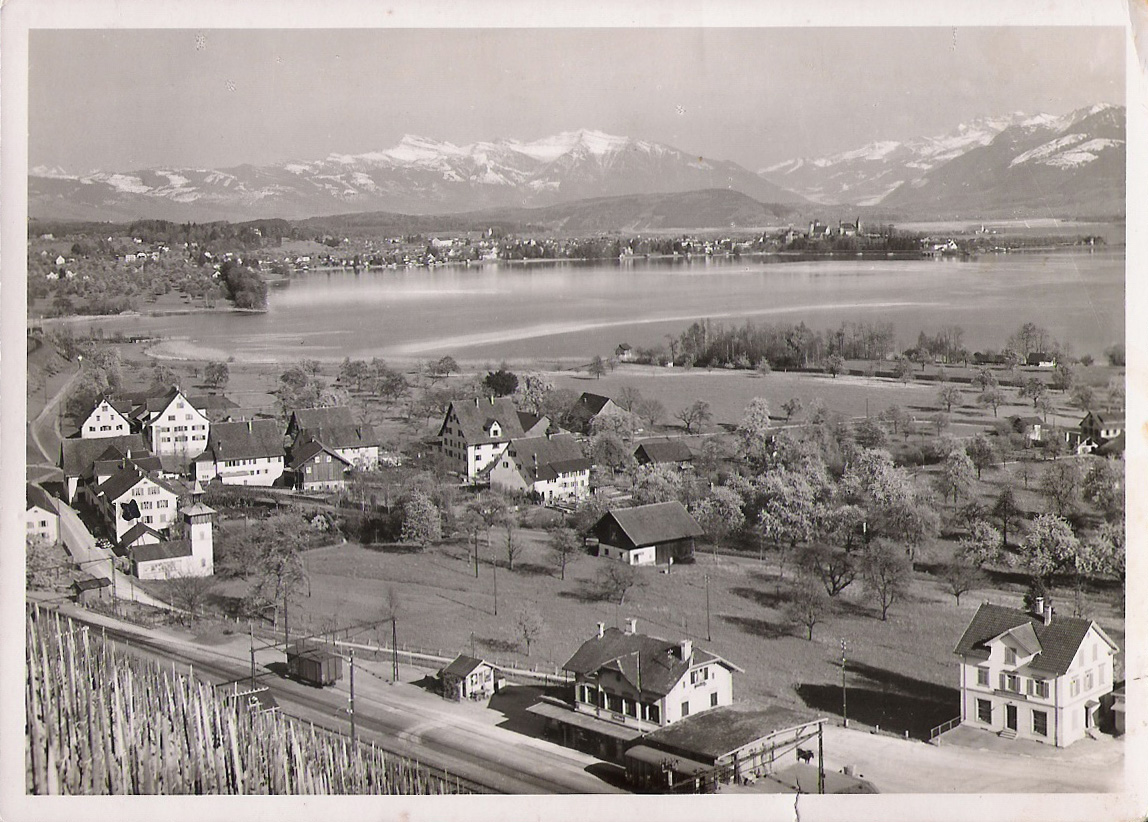 Blick vom Trüllisberg auf den Bahnhof Feldbach, dahinter das Dorf und der See