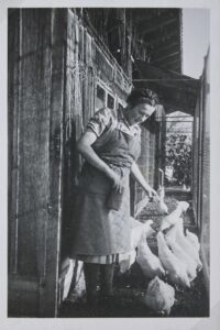 Schwarz-weiss-Fotografie der Magd Ruth Oesch beim Füttern der Hühner